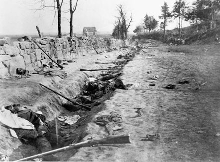 Confederate-dead-in-the-Sun