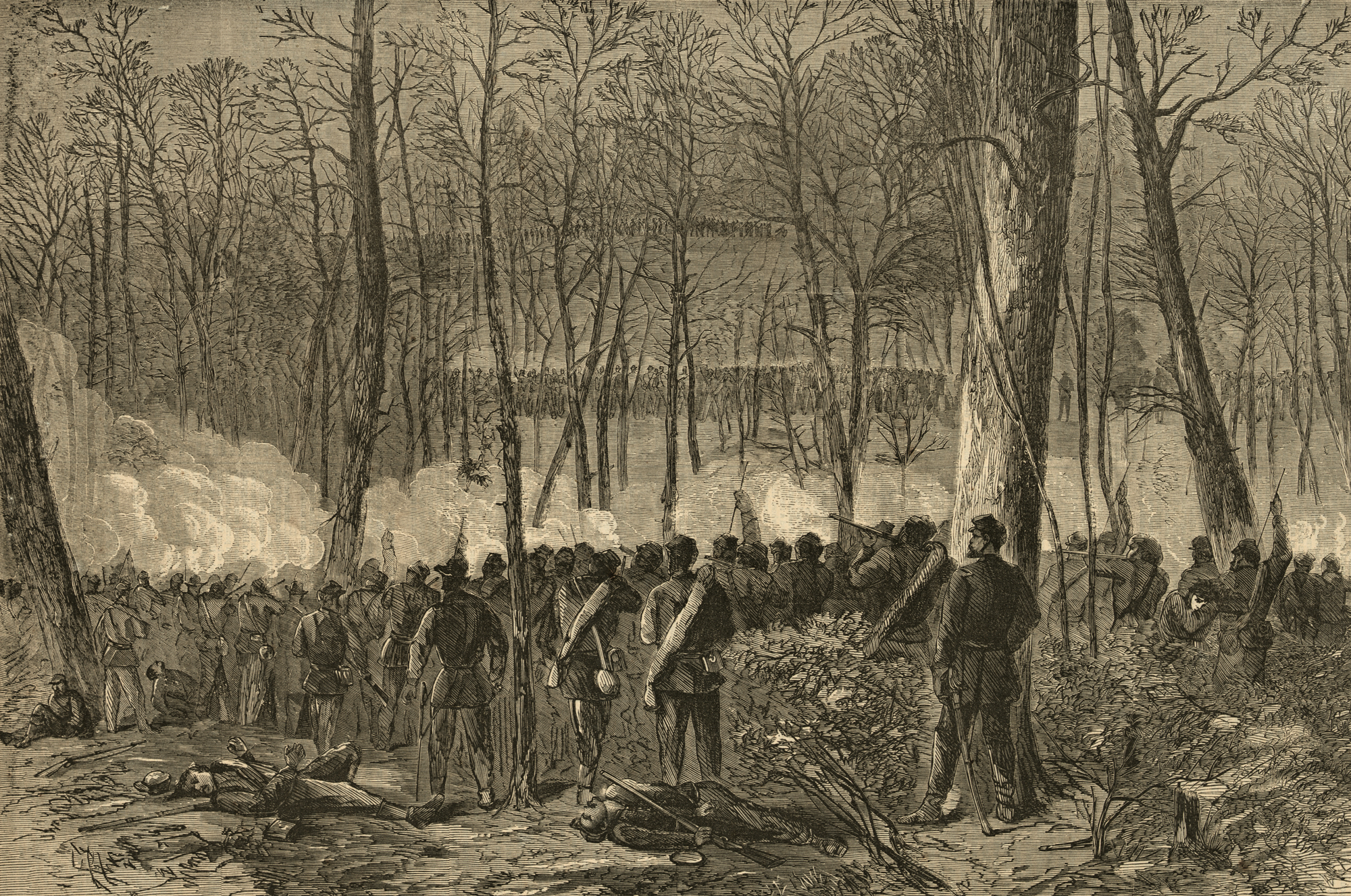 HD_WildernessWadsworthWaudz