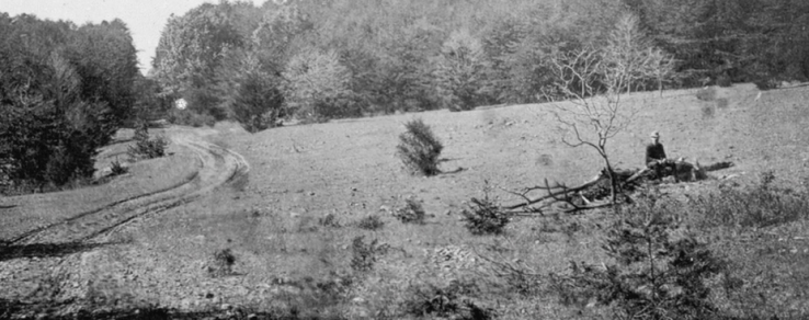 Screen20Shot202017-05-1020at202.18.4520PM